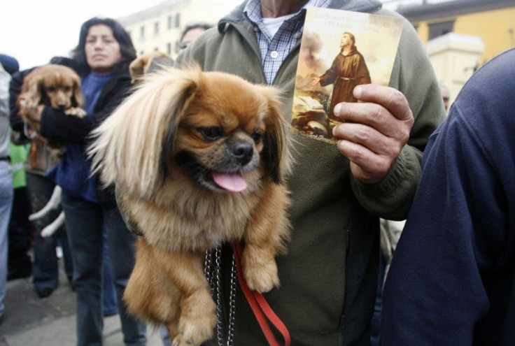 Owner carries his dog as they wait for blessings outside the San Francisco church in Lima
