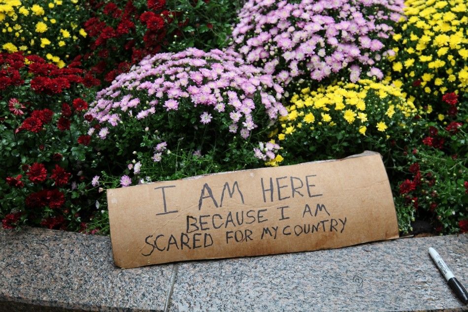 Occupy Wall Street Protest Signs