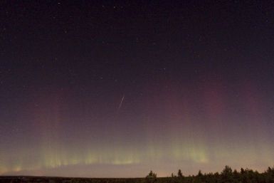 A view of a shooting star (Draconid) and northern lights near Skekarsbo at the Farnebofjardens national park, 150 km (93 miles) north of Stockholm October 8, 2011.