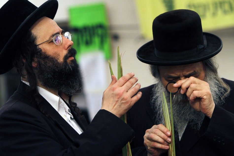Ultra-Orthodox Jews inspect palm fronds for blemishes at a market in Bnei Brak near Tel Aviv 