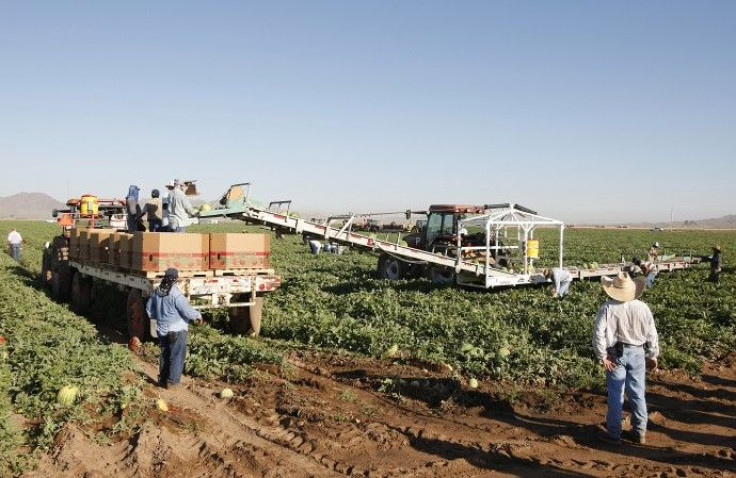 Mexican migrant workers in Dome Valley near Yuma