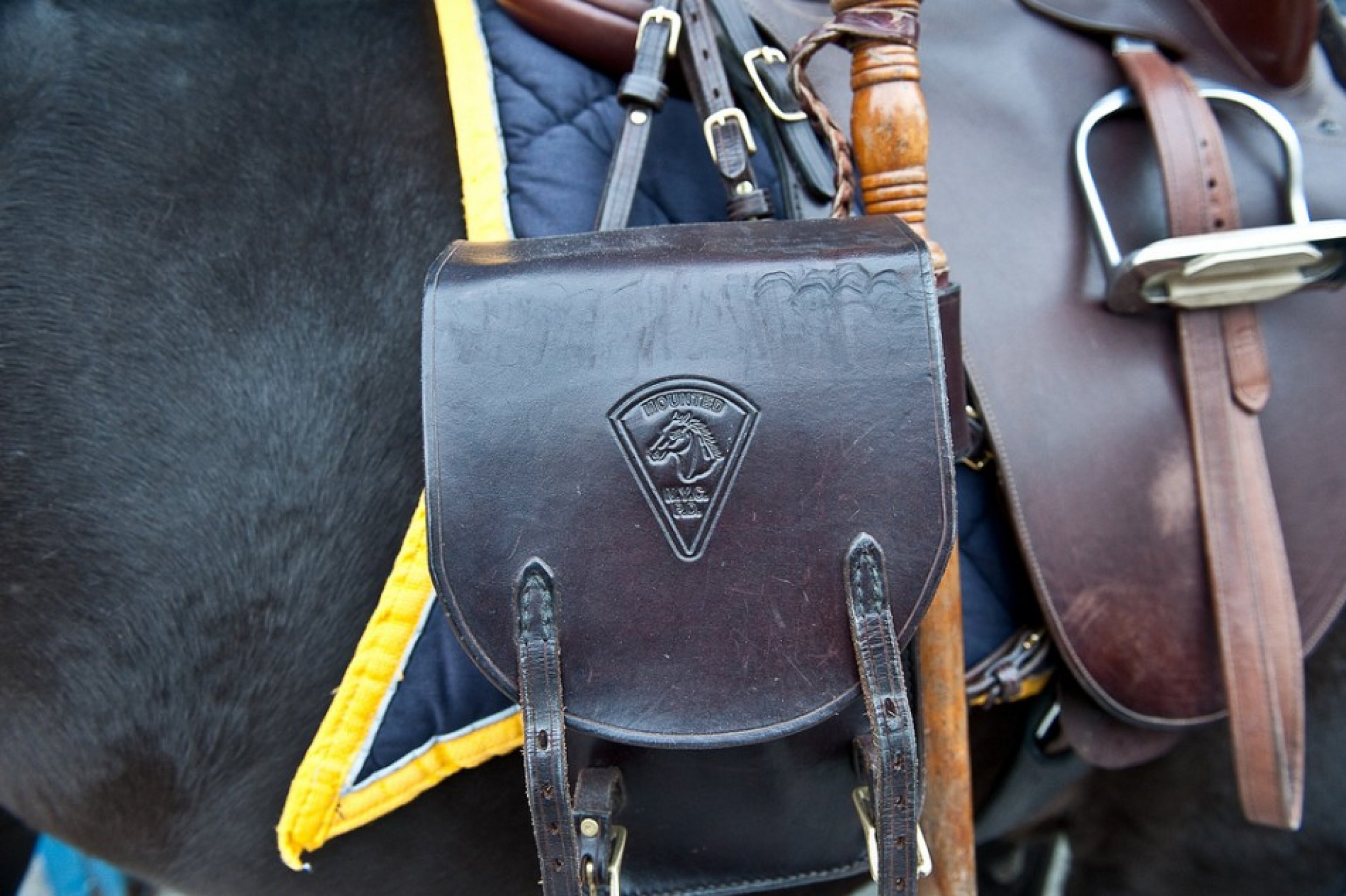 Detail of a mounted police officers satchel