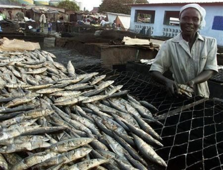 A fish seller in the lagoon-side shanty town of &quot;Zimbabwe&quot; in Ivory Coast&quot;s