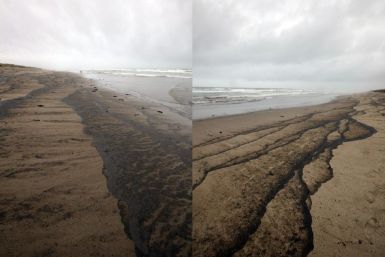 New Zealand Oil Spill