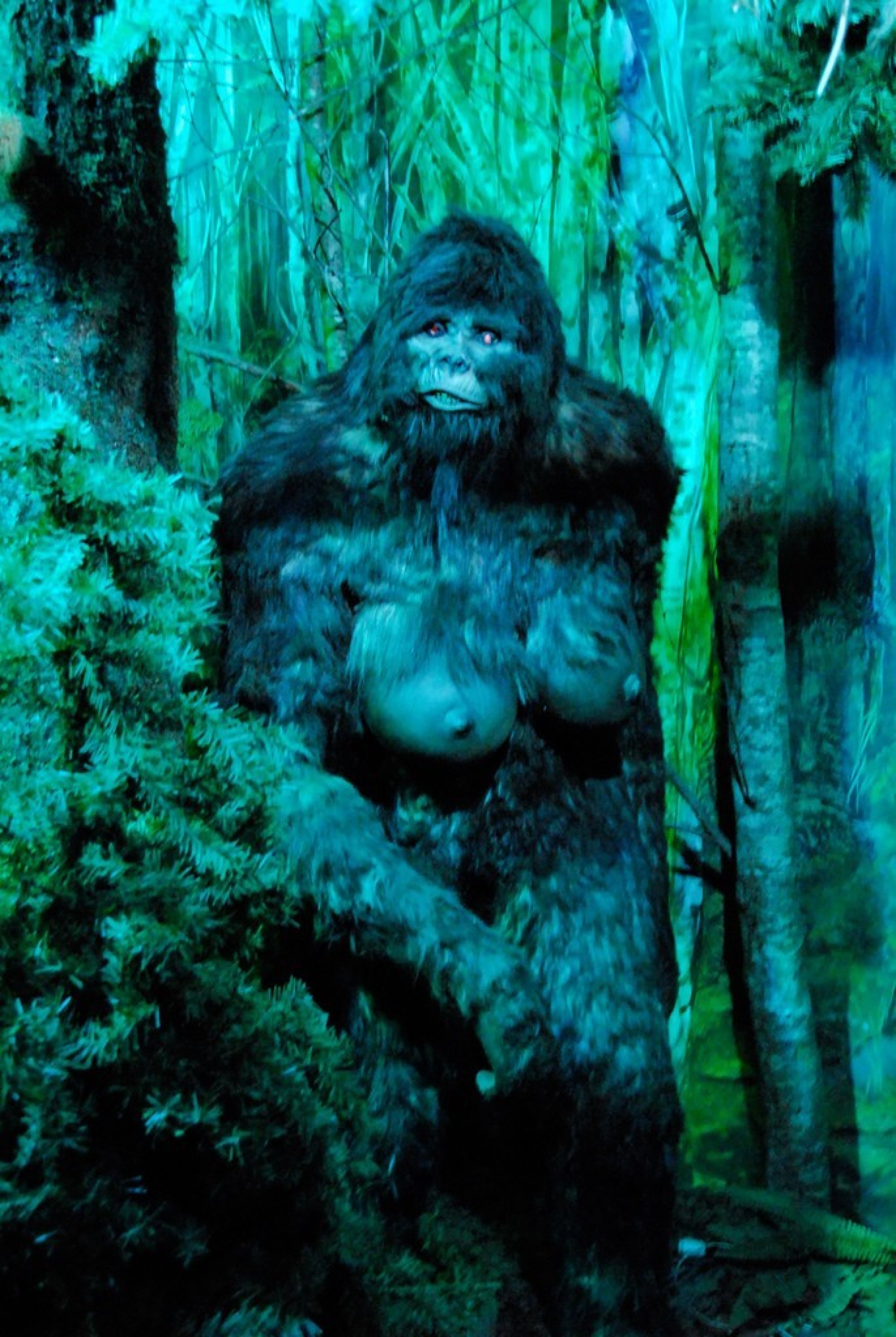 Sasquatch