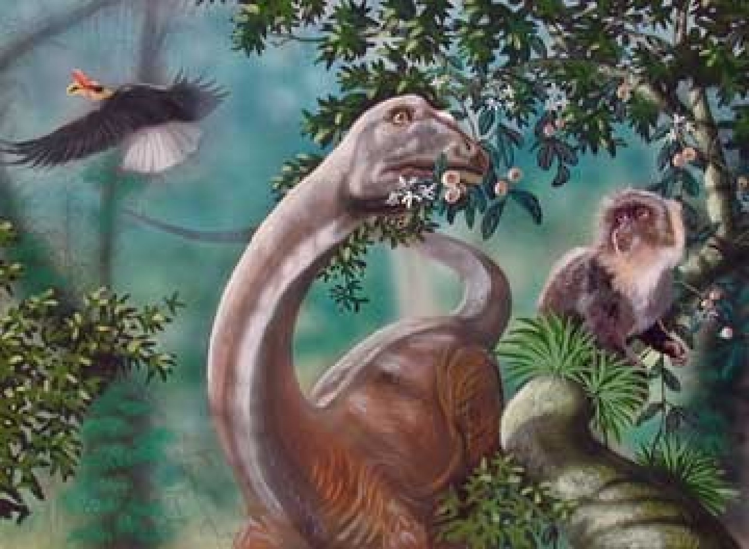 Mokele Mbembe 