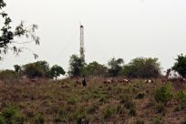 A boy herds goats in front of a Tullow Oil drilling rig in Bulisa, in the Bunyora region of Uganda