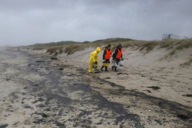 NZ Oil Spill 9