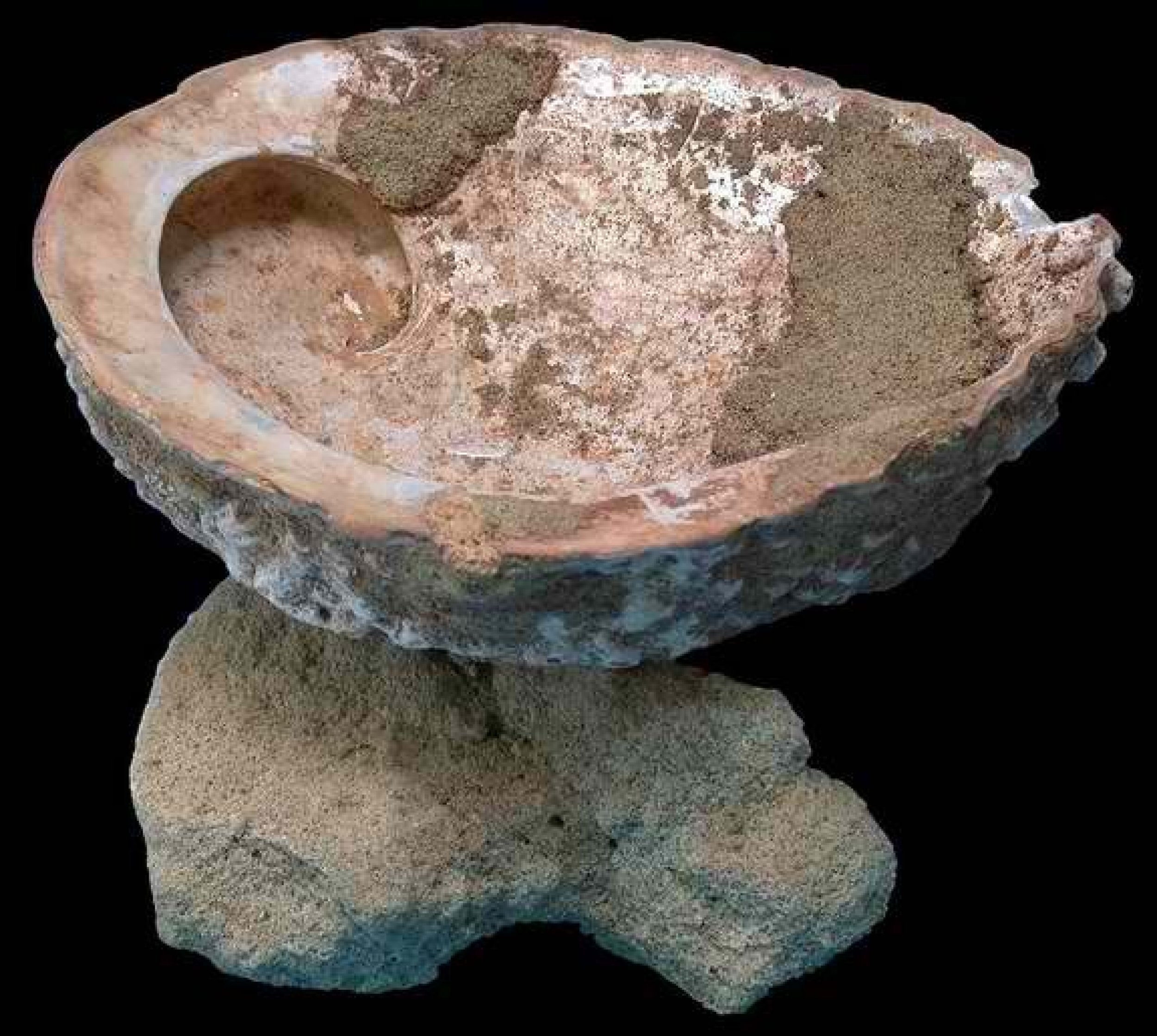 Самая древняя посуда. Посуда древнего человека. Первобытная посуда. Умывальники древних из камня. Посуда первобытных людей.