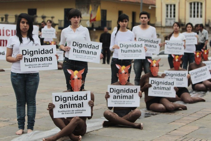 Members of animal rights organization Anima Naturalis protest against animal cruelty at Bolivar Square in Bogota