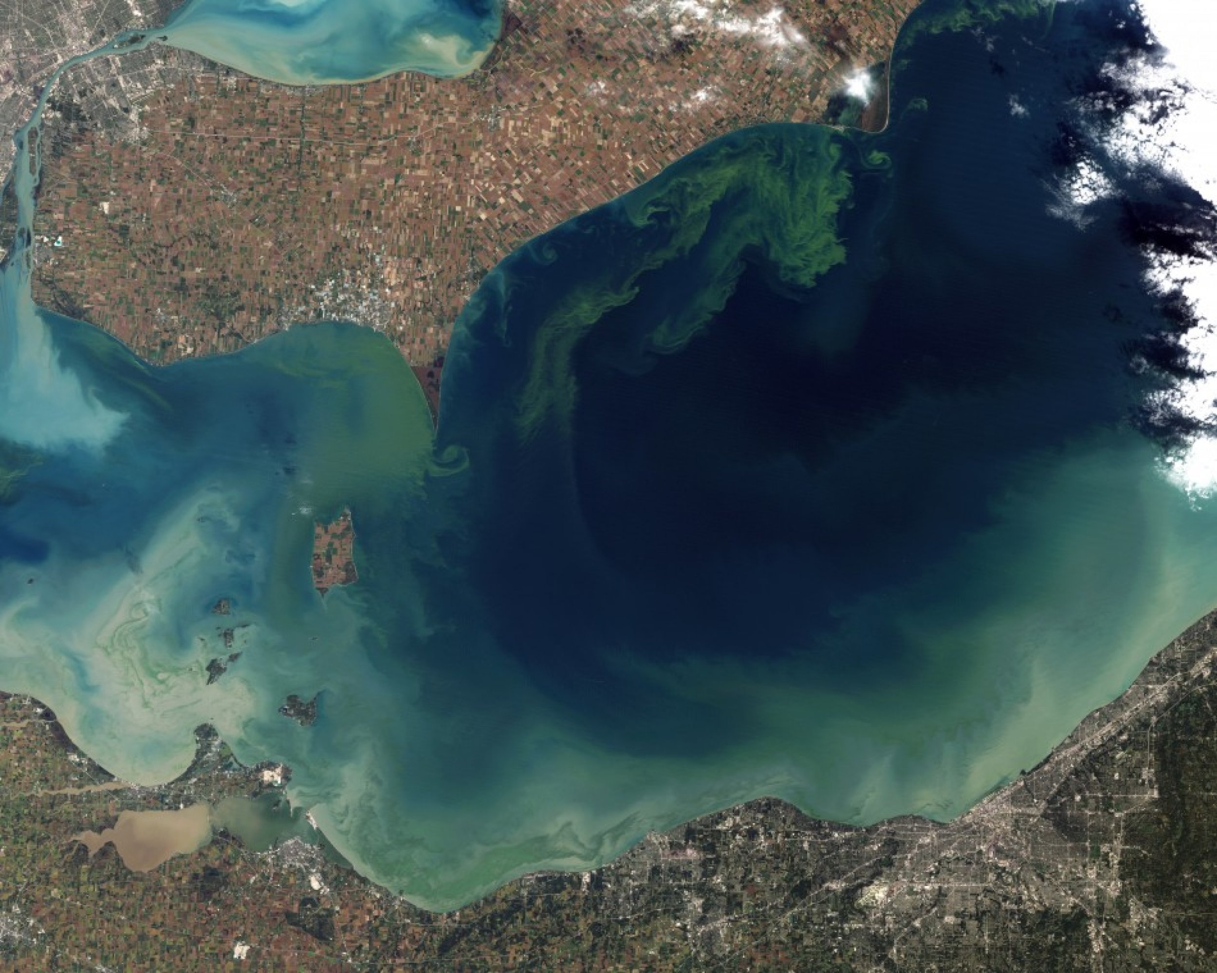 Lake Erie Algae Bloom Regarded Worst in Decades NASA Reveals Shocking Pictures