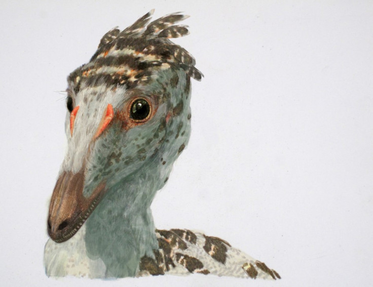 Troodon