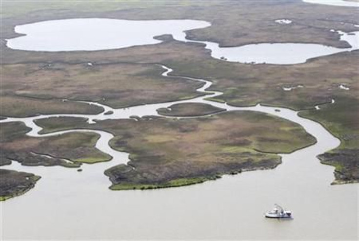 A shrimp boat trawls near healthy marsh, bayous and water ways east of the mouth of the Atchafalaya River near Morgan City, Louisiana