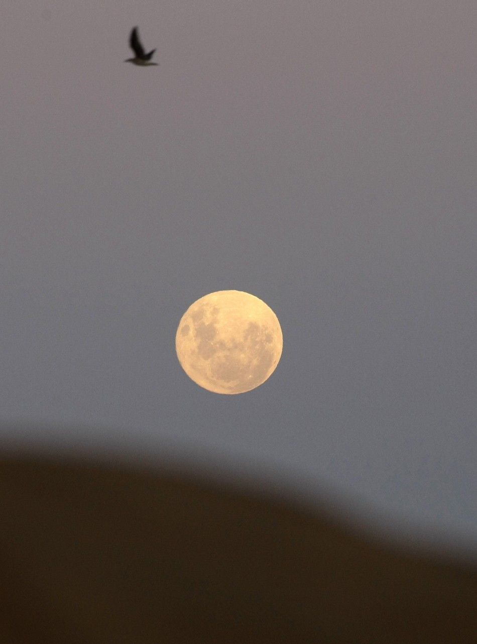 The moon is seen over Vina del Mar city