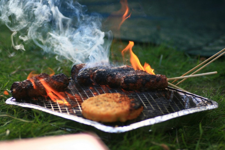 Disposable Barbecue