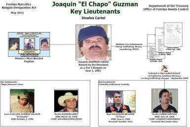 Sinaloa Drug Cartel Leadership Structure, network chart.