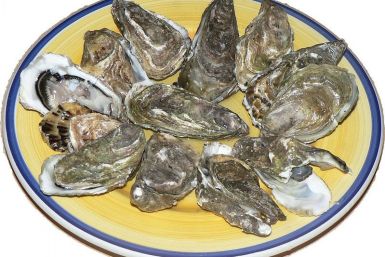 Oyster Recall