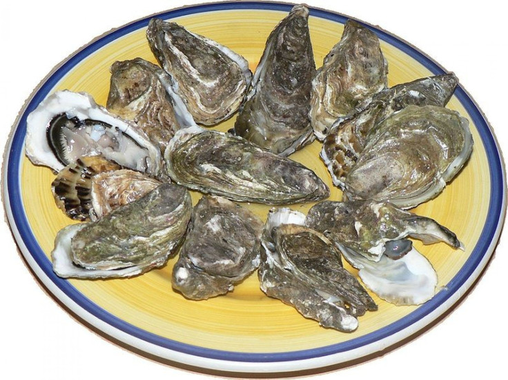 Oyster Recall