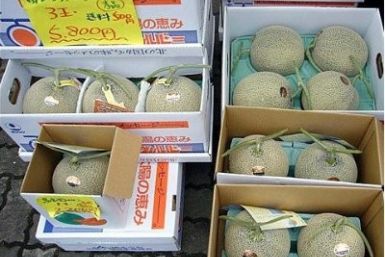 $12,000 Melons