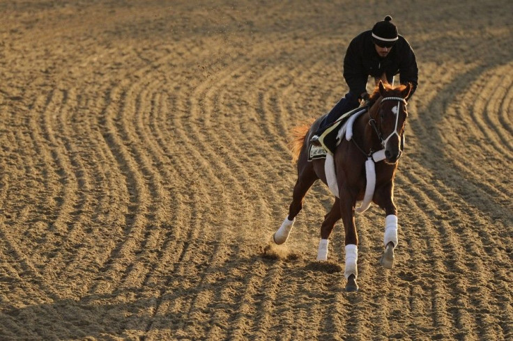 Kentucky Derby champion I'll Have Another won't race at the Belmont Stakes.