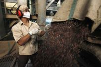 Cocoa future prices fell Wednesday, as New York-traded commodity &quot;softs&quot; were among the day&#039;s biggest losers.