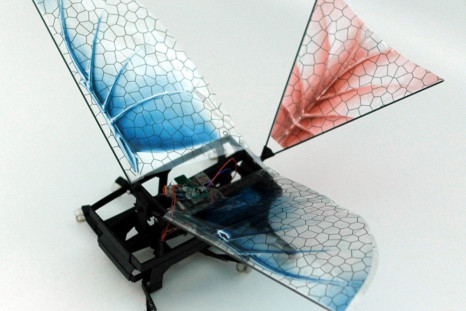 Robotic Winged Bug Sheds Light On Evolution of Flight