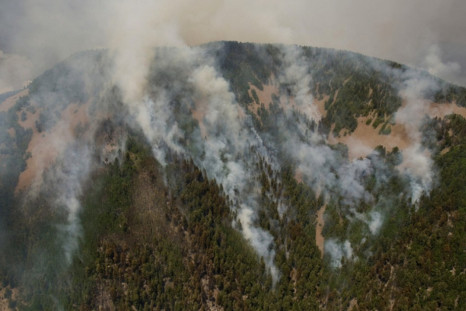 Whitewater-Baldy Complex Wildfire, Gila National Forest, New Mexico, June 2, 2012