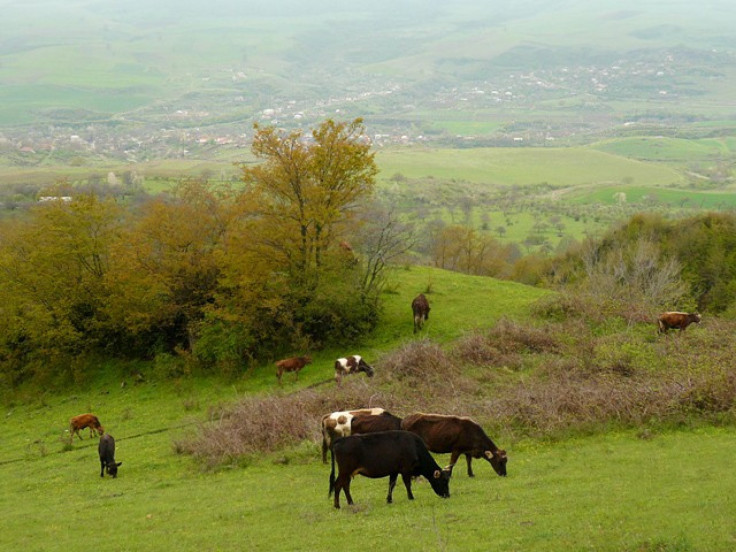 Nagorno-Karabakh