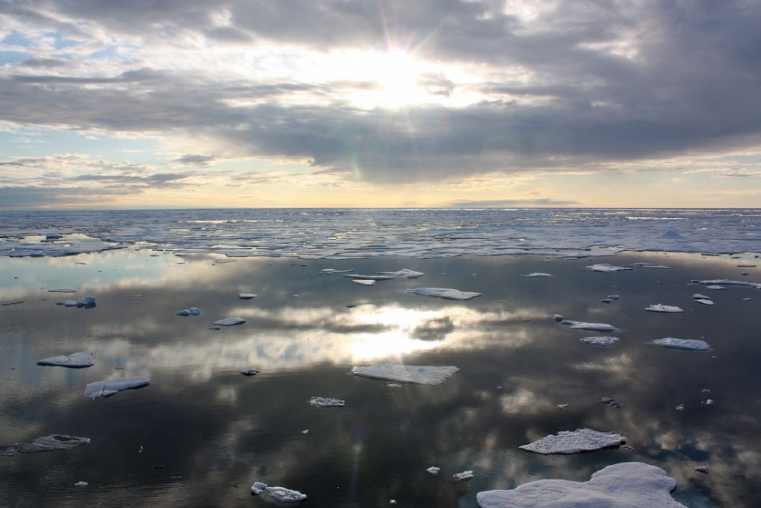 New NASA Discovery Reveals Unprecedented Blooms of Ocean Plant Life Beneath Arctic Ice