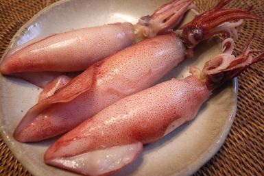 'Octomom' 2.0? Woman Gets 'Pregnant In The Mouth' After Eating Squid