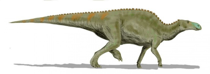 edmontosaurus