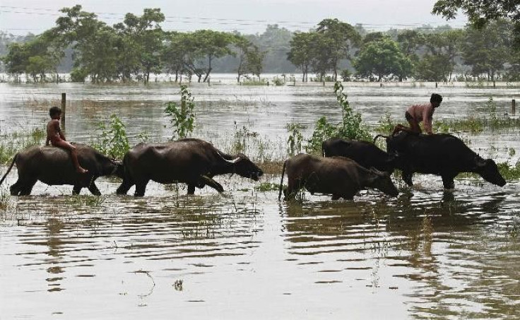 Flood-affected residents move to safer places on their buffaloes after heavy rains at Kushiani village of Morigaon district, in the northeastern Indian state of Assam June 28, 2012. Incessant heavy rains in northeast India have caused massive flooding and