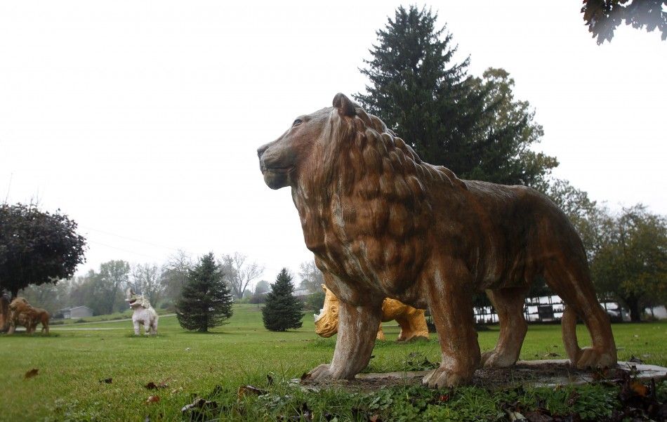 A statue of a lion sits in a yard near a property from where exotic animals escaped in Zanesville, Ohio