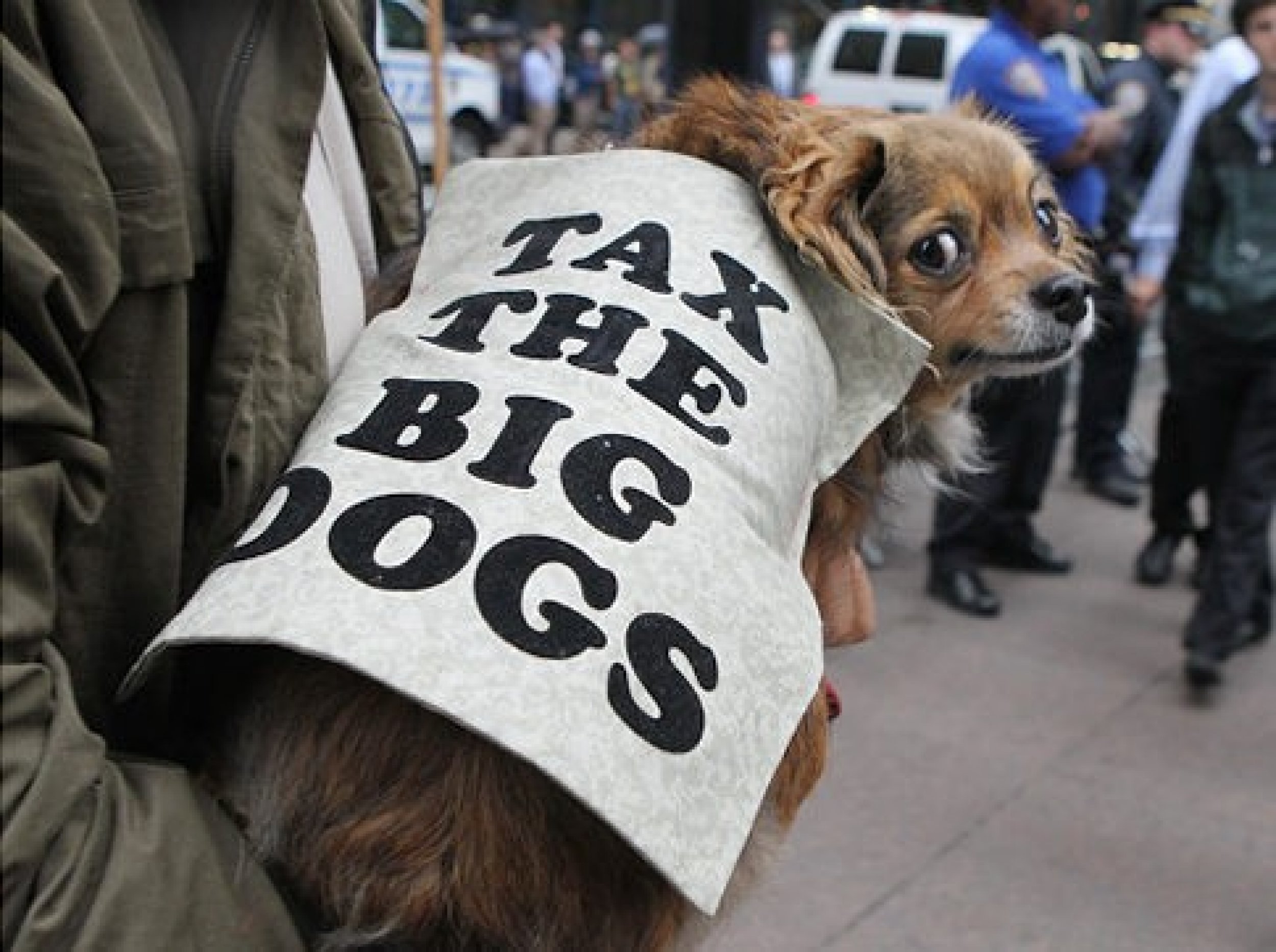 Tax the Big Dogs