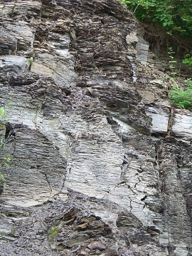 Marcellus shale exposure above Marcellus, N.Y.