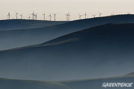 Greenpeace: China’s Wind Power to top 230 GW by 2020