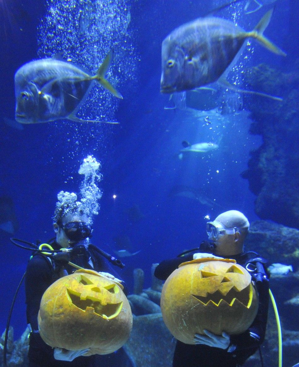 Underwater pumpkins