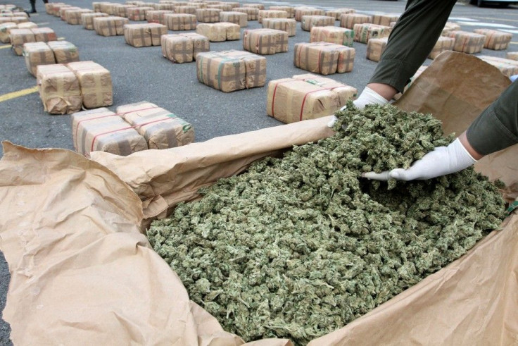 Entire Illegal Drugs Trade