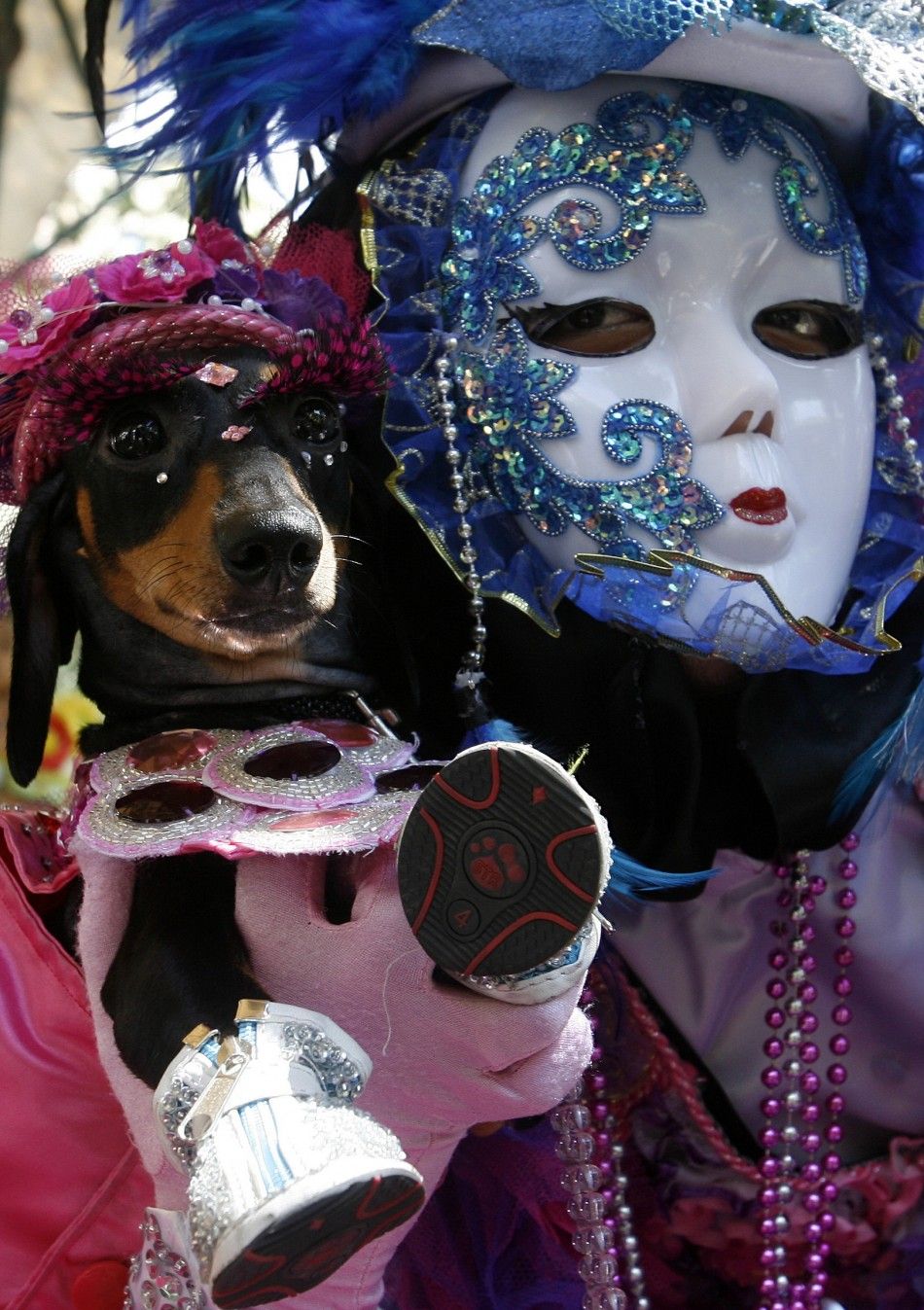 A Dutch hound is carried by her owner as they model their costumes during the quotScaredy Cats and Dogsquot Halloween fund-raising event at a mall in Quezon City, Metro Manila, October 23, 2011.