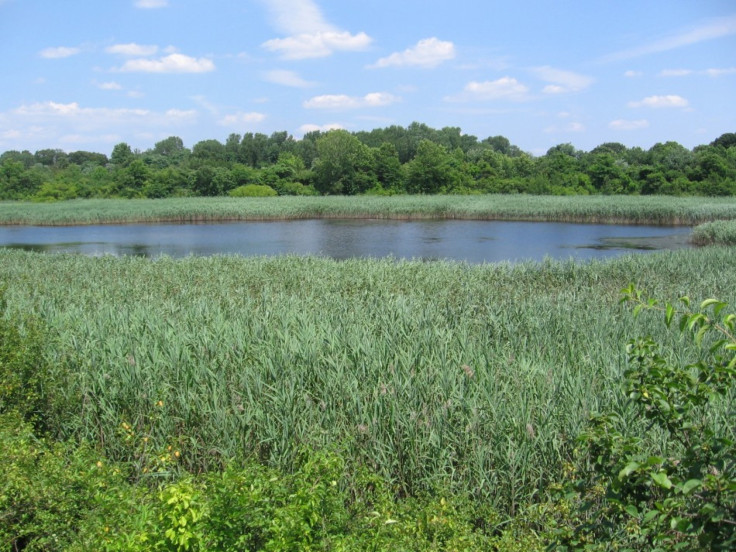 Ridgewood Reservoir in August 2009.