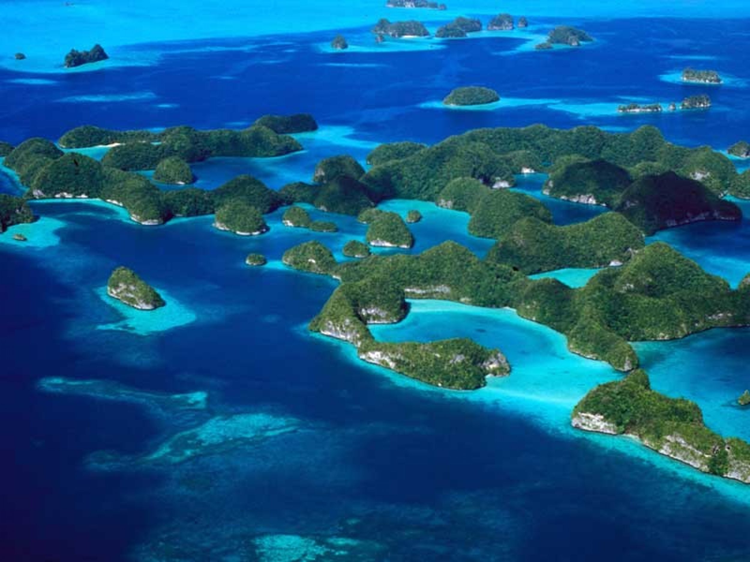 Отдых в австралии и океании. Остров Палау Микронезия. Рок-Айлендс, Палау. Острова Кука Палау. Скалистые острова Палау.