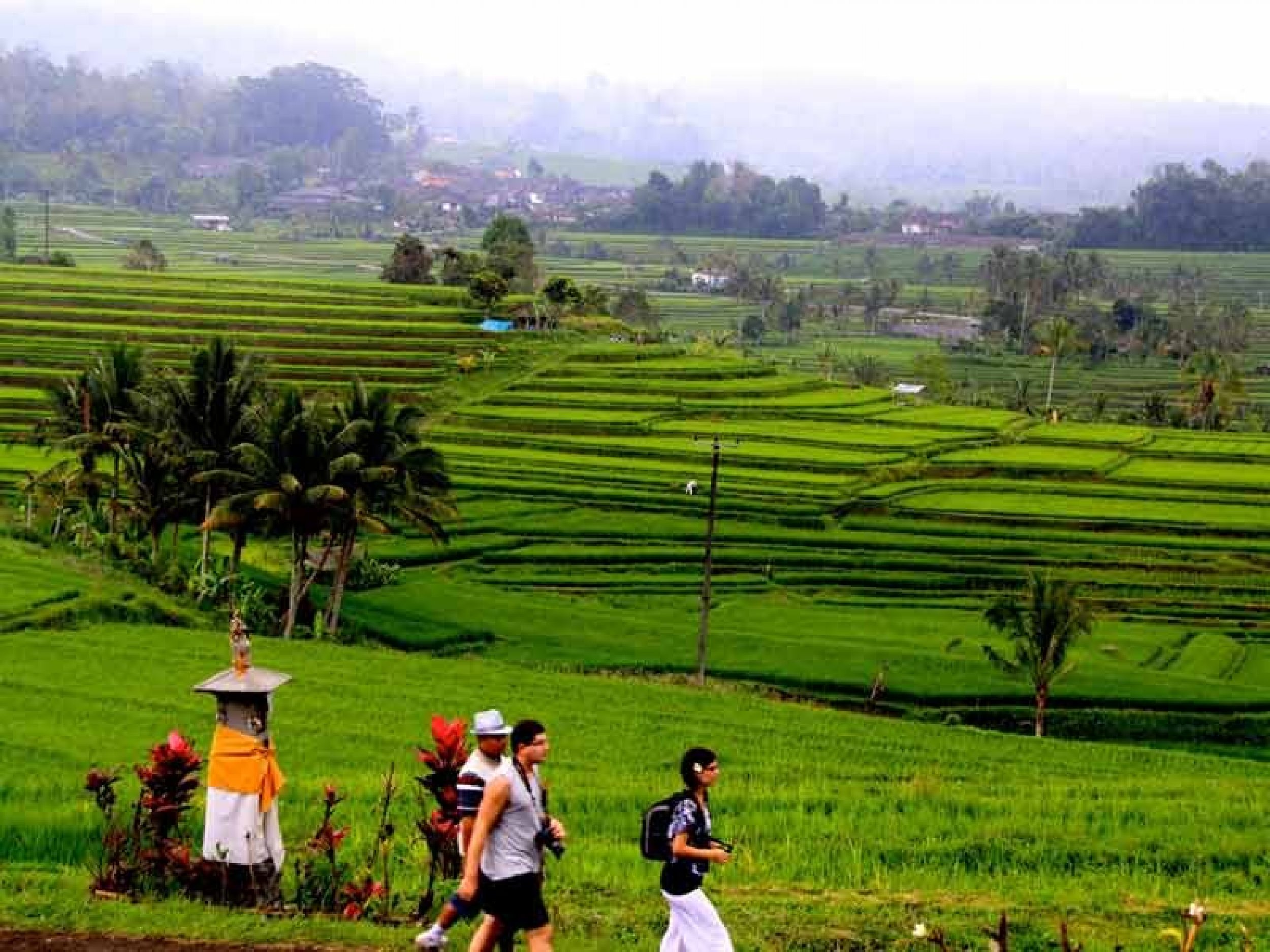 Cultural Landscape of Bali Province the Subak System as a Manifestation of the Tri Hita Karana Philosophy