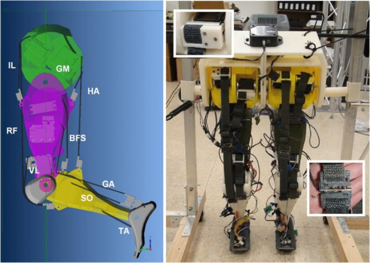 Construction of robot legs that resemble human gait