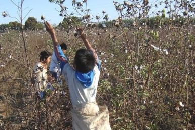 Child Labor in Peru