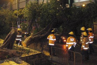 Firemen Trying to clear a Tree From The Top of  a Car. The Trunk fell  As a Result of The Strong Winds Due to Typoon Vincent in Hong Kong
