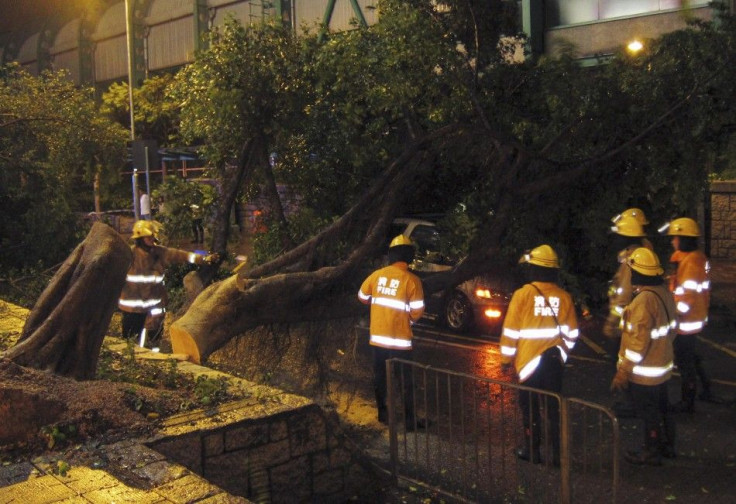 Firemen Trying to clear a Tree From The Top of  a Car. The Trunk fell  As a Result of The Strong Winds Due to Typoon Vincent in Hong Kong