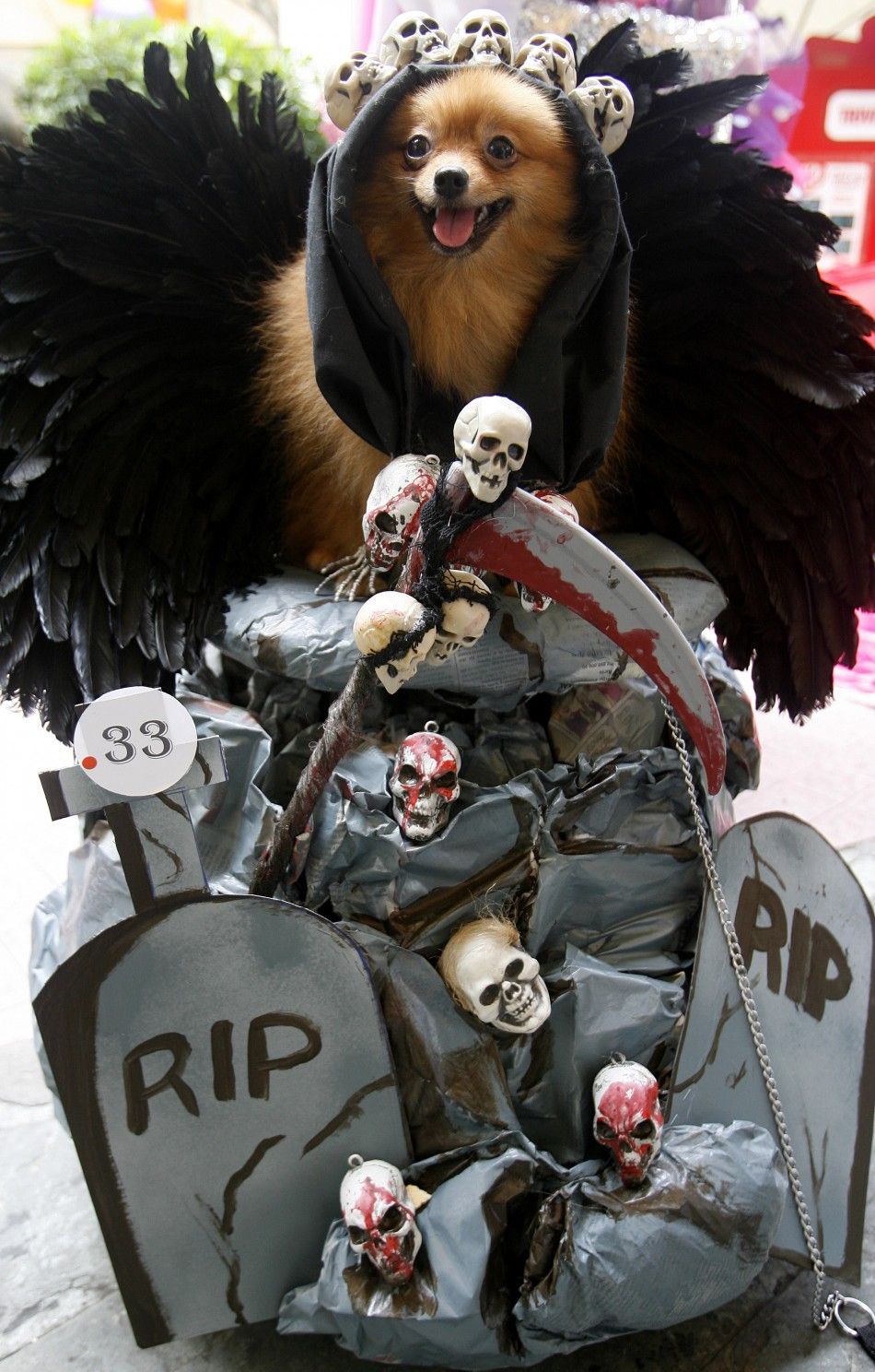 Grim Reaper Costume Idea for Halloween 2011