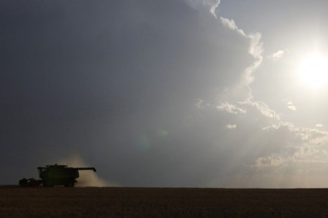 Wheat prices to double in 2012