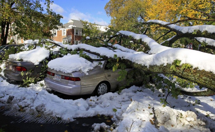 October 2011 Snowstorm