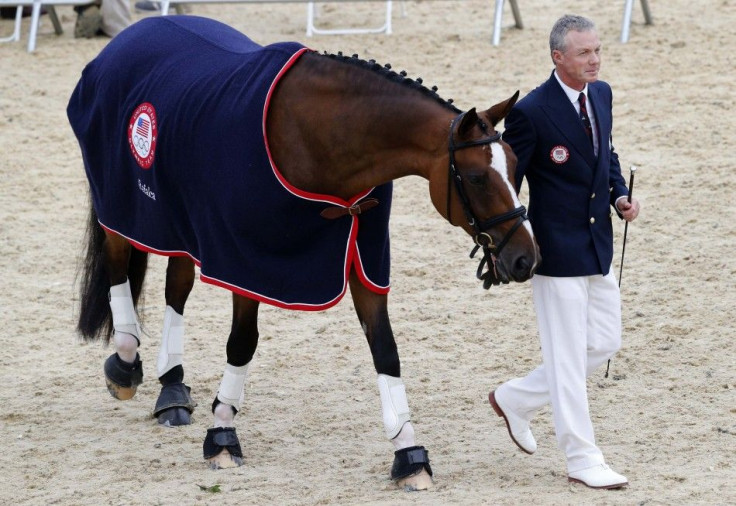 Rafalca, Dressage